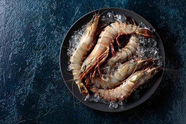  Siyah tabakta taze kaplan karidesleri koyu mavi zemin üzerinde ezilmiş buz, fotokopi alanı ile üst manzara.