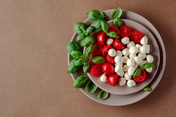 도마도 모차렐라 그리고 샐러드 만든다 이탈리아식 채식주의자식 — 스톡 사진