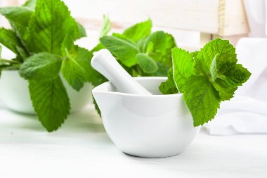 Taze nane yaprakları ve beyaz seramik havan topu. Aromaterapi, spa ve bitkisel ilaç malzemeleri..