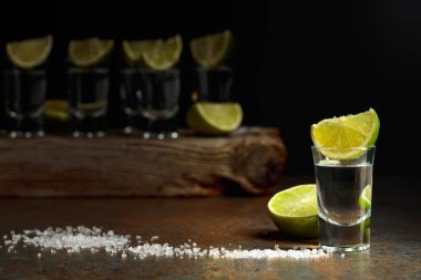 Limonlu tekila shot ve kırsal bir arka planda tuz. Boşluğu kopyala.