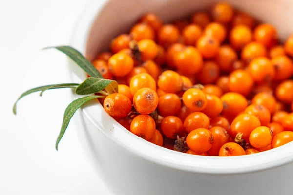 Sea Buckthorn Berries Close Sea Buckthorn Berries Contain Vitamin Used — Zdjęcie stockowe