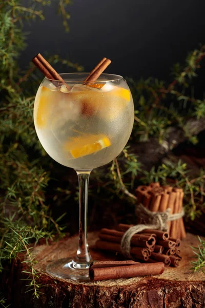 Gin Och Tonisk Cocktail Med Apelsin Och Kanel Kall Iskall — Stockfoto