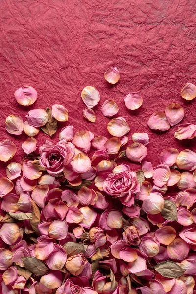 Composição Flores Moldura Feita Flores Secas Rosas Pétalas Folhas Vista — Fotografia de Stock