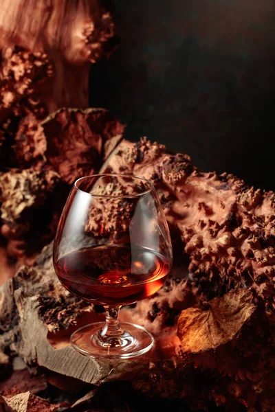 Snifter Brandy Old Dried Snag Copy Space — Stock Photo, Image