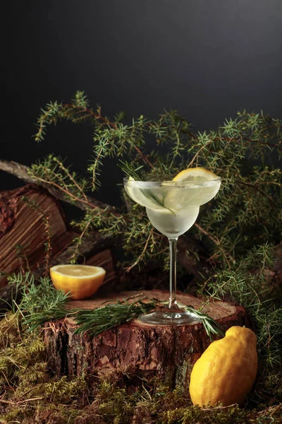 Gin Tonic Cocktail Mit Zitrone Und Rosmarin Ein Kaltes Erfrischungsgetränk — Stockfoto