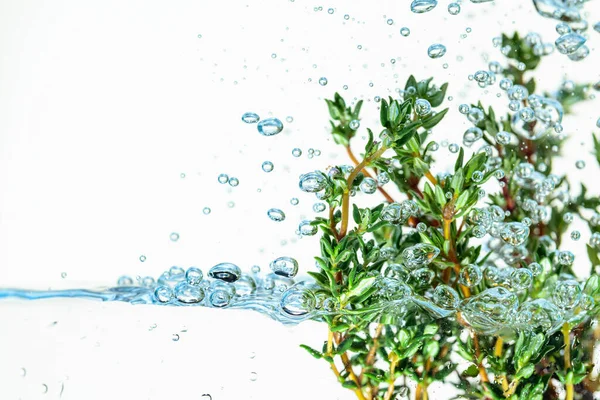 Fresh Thyme Bunch Water Bubbles Copy Space — Stock Photo, Image
