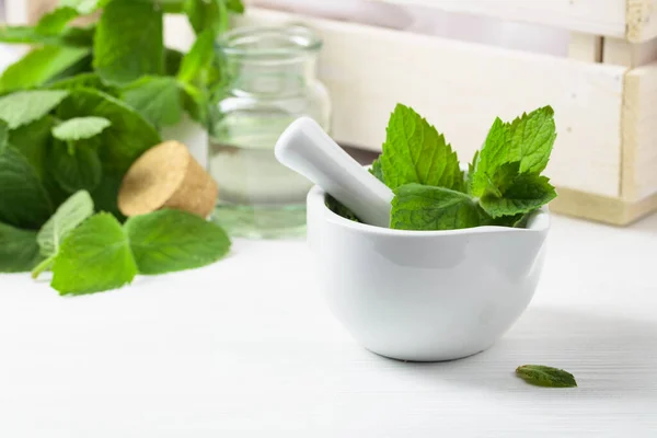 Fresh Spearmint Leaves Small Bottle Essential Mint Oil Aromatherapy Spa — Stock Photo, Image