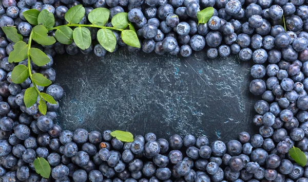 新鲜采摘的蓝莓特写 蓝莓背景 顶部视图 复制空间 — 图库照片