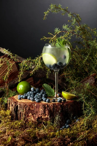 Gin Och Tonisk Cocktail Med Blåbär Lime Och Mynta Kall — Stockfoto