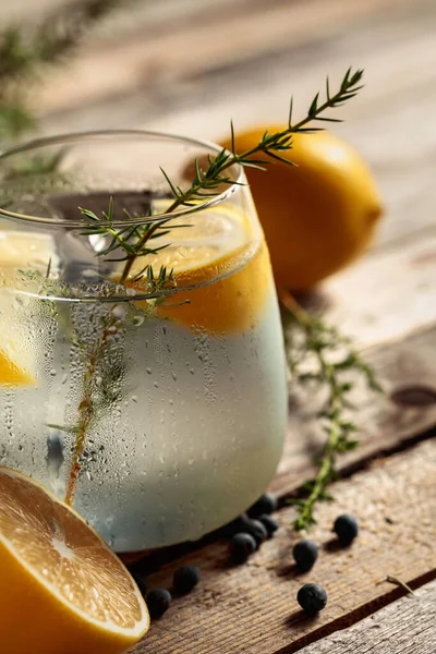 Alkoholgetränk Gin Tonic Cocktail Mit Zitrone Wacholderzweig Und Eis Auf — Stockfoto