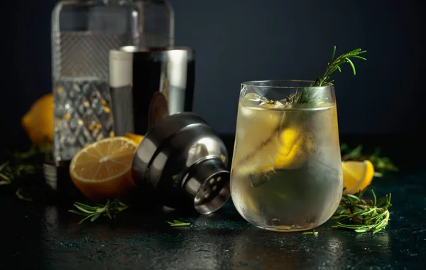 レモン ローズマリーとカクテルジン強壮剤 冷たいガラスの中で自然の氷でリフレッシュドリンク — ストック写真