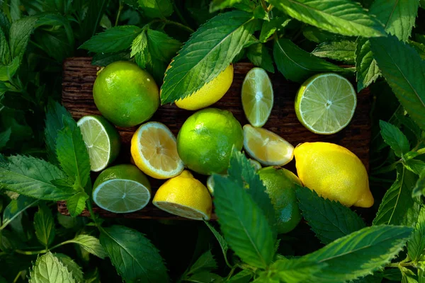 Limety Citróny Pěstující Mátu Zahradě Citrusové Plátky Mátové Listy Starém — Stock fotografie
