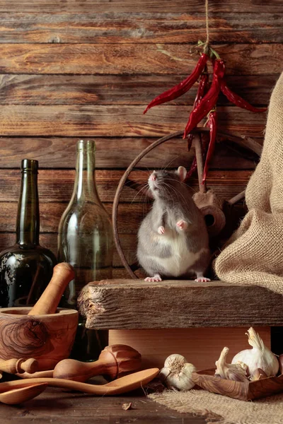 Rat Table Old Kitchen Utensils Wooden Shed — Stock Photo, Image