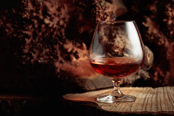 Špetka Brandy Starém Sušeném Pařezu Kopírovat Prostor — Stock fotografie