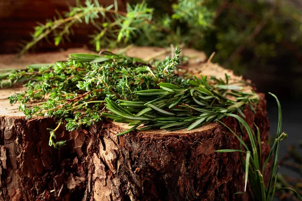 Fragrant Uncultivated Herbs Stump Forest Fresh Thyme Rosemary — Stock Photo, Image