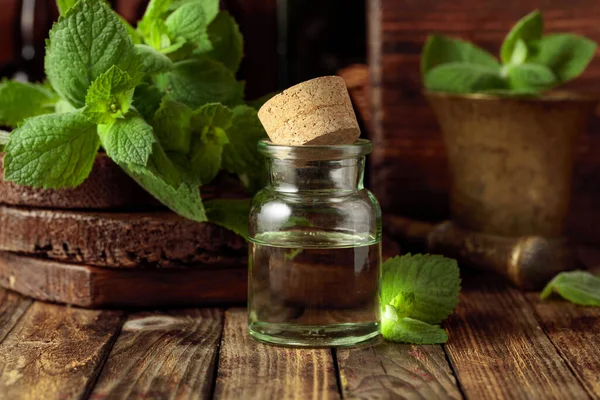 Färska Spearmintblad Och Liten Flaska Med Eterisk Myntolja Örtmedicin Ingredienser — Stockfoto