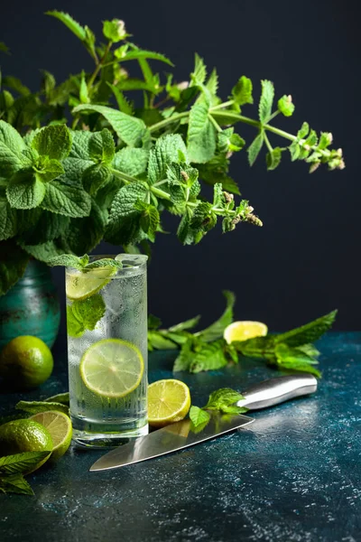 Limonlu, naneli ve buzlu yaz içeceği. Soğuk ve sağlıklı bir içecek ve bir demet taze nane.. 