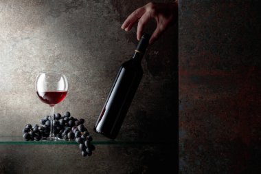 Bir şişe kırmızı şaraba uzanır. Pahalı şarapların konsepti. Metnin için boş yer.