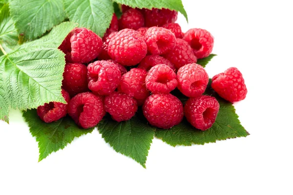 Fresh Raspberries Leaves Isolated White Background — Stock Photo, Image