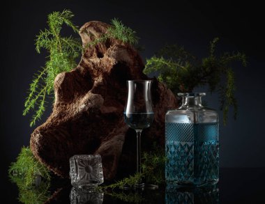 Siyah arka planda mavi cin. Arka planda ardıç dalları ve eski ağaç dalları var..