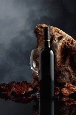 Şişe ve bir bardak kırmızı şarap. Arka planda eski ağaç dalları ve kurumuş asma yaprakları var. Metnin için alanı olan ön görünüm.