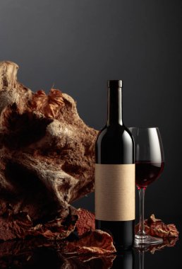 Eski etiketli bir şişe kırmızı şarap. Arka planda eski ağaç dalları ve kurumuş asma yaprakları var. Metnin için alanı olan ön görünüm.