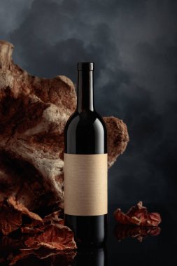 Eski etiketli bir şişe kırmızı şarap. Arka planda eski dallar, kurumuş asma yaprakları ve karanlık bulutlu bir gökyüzü. Metnin için alanı olan ön görünüm.