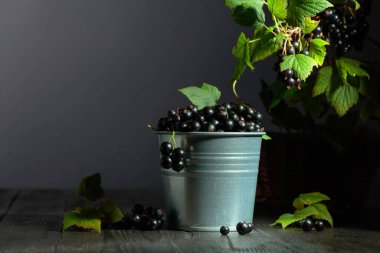 Siyah ahşap bir masada küçük bir kovada siyah frenk üzümü. Boşluğu kopyala.
