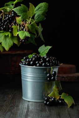 Siyah frenk üzümü siyah bir sehpanın üzerinde küçük bir kovada.