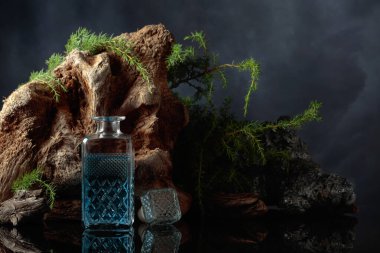 Siyah yansıtıcı arka planda mavi cin. Arka planda ardıç dalları, taş ve eski ağaç dalları var..