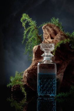 Blue gin on a black background. Juniper branches and old driftwood are in the background.