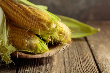 Fresh corn on cobs on a rustic wooden table.