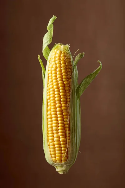 Fresh Corn Cob Brown Background — 스톡 사진