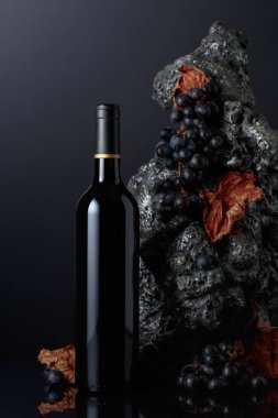 Bottle of red wine. In the background rough grey stone and blue grapes. 
