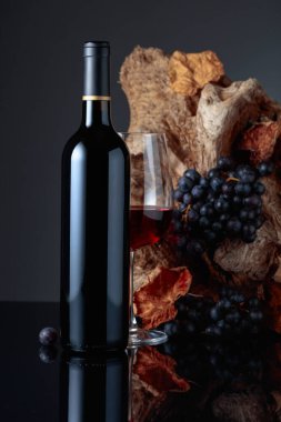 Bottle and glass of red wine. In the background old snag and grapes with dried-up vine leaves.