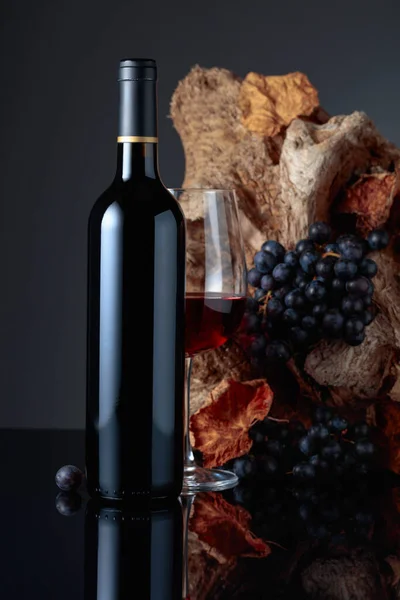 Bottle Glass Red Wine Background Old Snag Grapes Dried Vine — Stock Fotó
