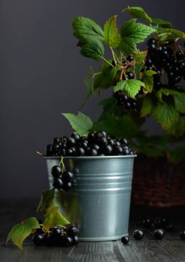 Black currant in a small bucket on a black wooden table. Copy space.