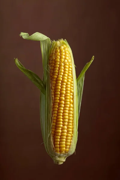 Fresh Corn Cob Brown Background — Zdjęcie stockowe