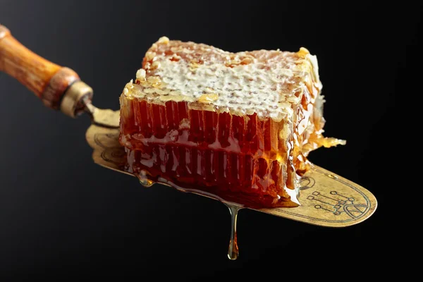 Close Honeycombs Antique Brass Spatula — Photo