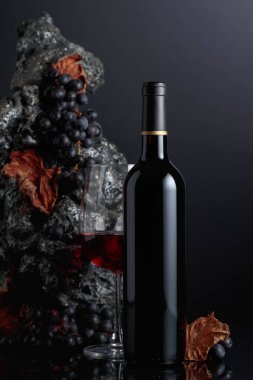 Bottle of red wine. In the background rough grey stone and blue grapes. 
