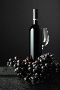 Juicy blue grapes and a bottle of red wine on a black background. Focus on a foreground.