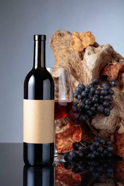 Bottle of red wine with empty label. In the background old snag and grapes with dried-up vine leaves. 