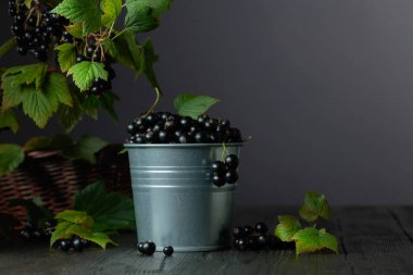 Siyah ahşap bir masada küçük bir kovada siyah frenk üzümü. Boşluğu kopyala.