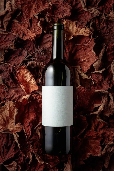 Bottle Red Wine Empty Label Dried Vine Leaves Top View — 스톡 사진
