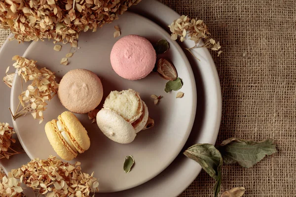 Delicious Sweet Colorful Macaroons Dried Flowers Top View — Stock Photo, Image