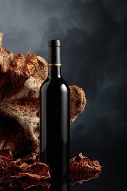 Bir şişe kırmızı şarap. Arka planda eski dallar, kurumuş asma yaprakları ve karanlık bulutlu bir gökyüzü. Metnin için alanı olan ön görünüm.
