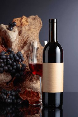 Bottle of red wine with empty label. In the background old snag and grapes with dried-up vine leaves. 