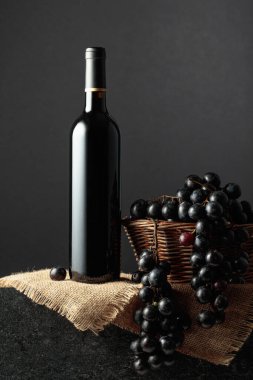 Juicy blue grapes and a bottle of red wine on a black background.