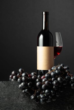 Juicy blue grapes and red wine on a black background. On the bottle old empty label.