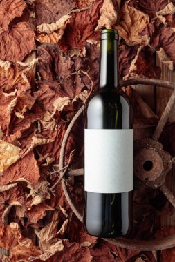 Bottle of red wine on the rusty wheel and dried-up vine leaves. Old expensive wine concept. Top view.